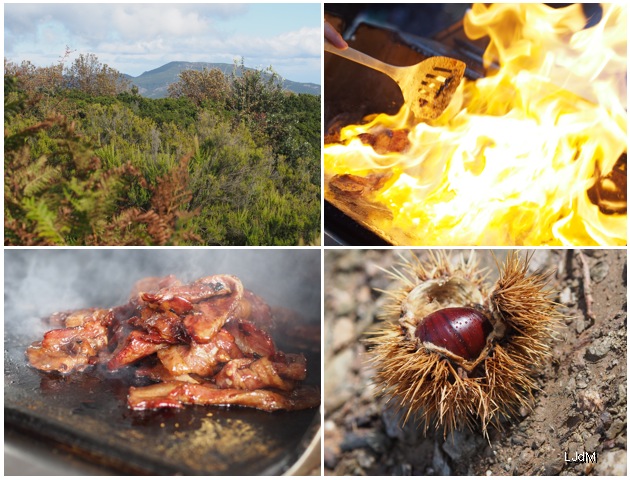 Un grand week-end en Corse #3 : balade gourmande