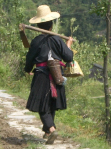 rizières Mes souvenirs de vacances #19