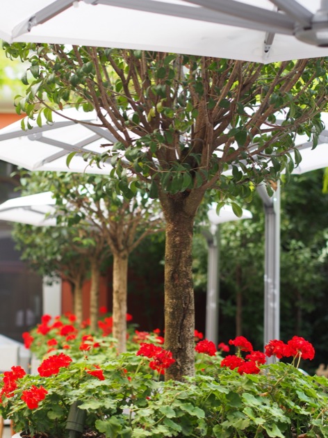 Le Spa du Royal Monceau : un Spa très Starck !