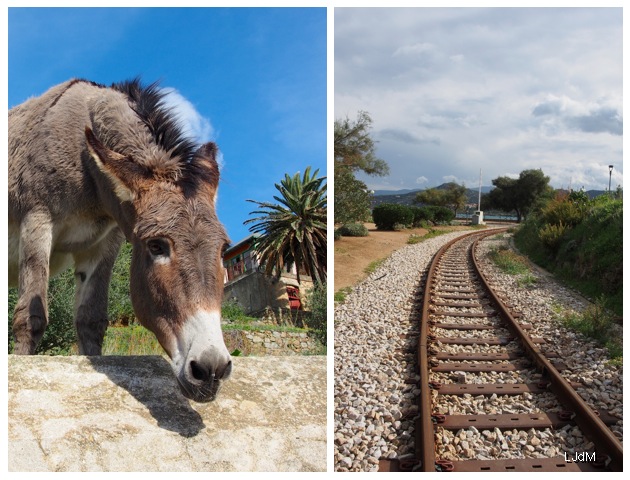 Un grand week-end en Corse #4