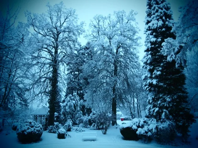 forest_snow Mes Souvenirs de Vacances #23