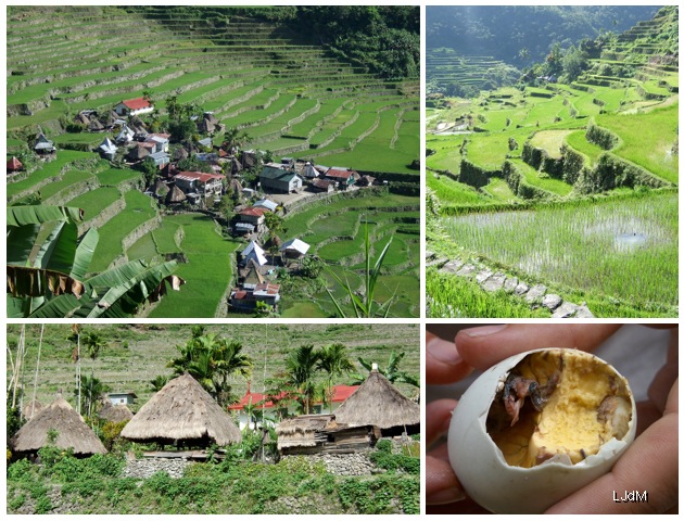 3 expériences gastronomiques surprenantes en voyage