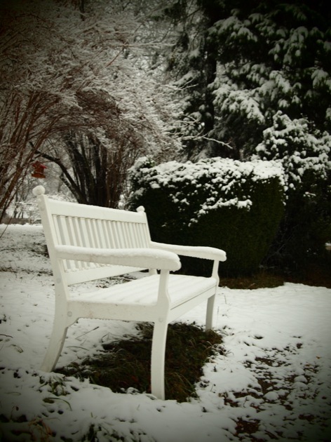 snow_tree Mes Souvenirs de Vacances #23