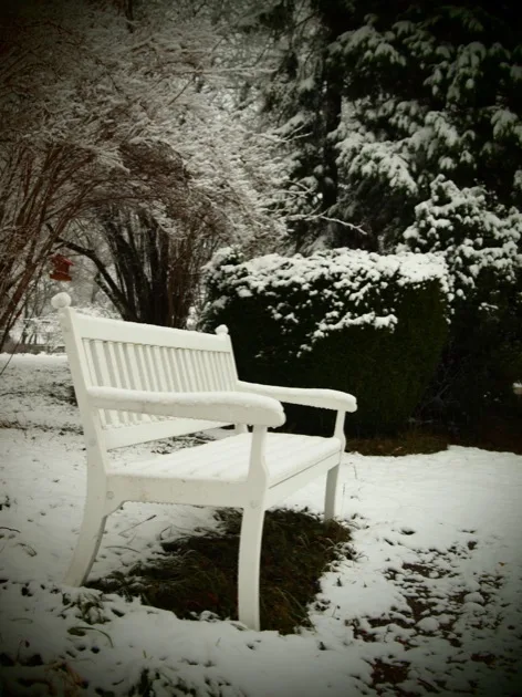 snow_tree Mes Souvenirs de Vacances #23