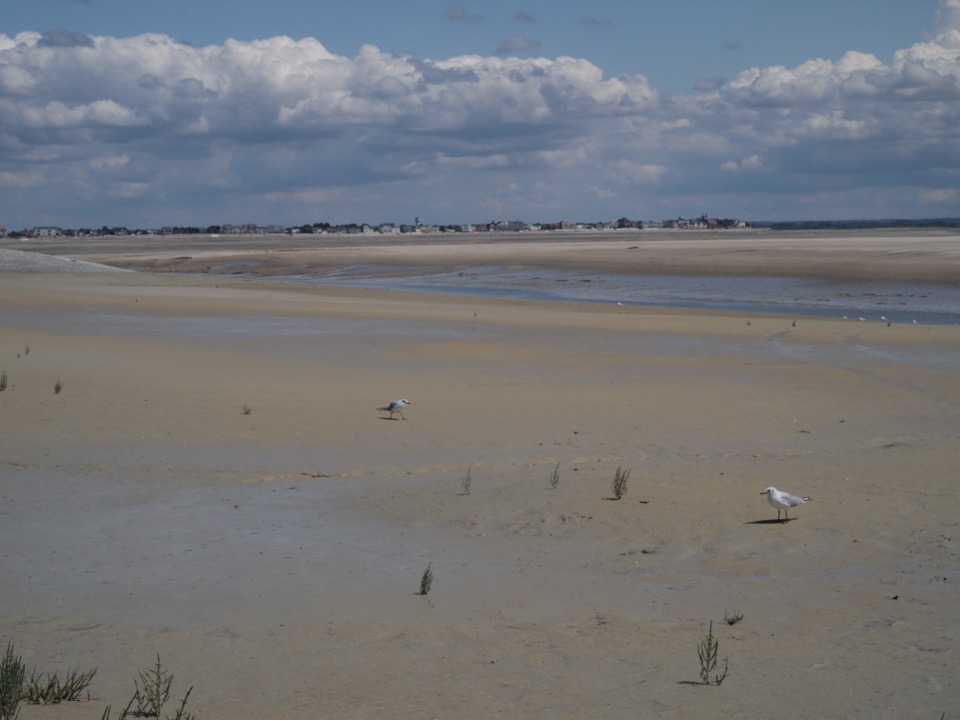 baie de somme