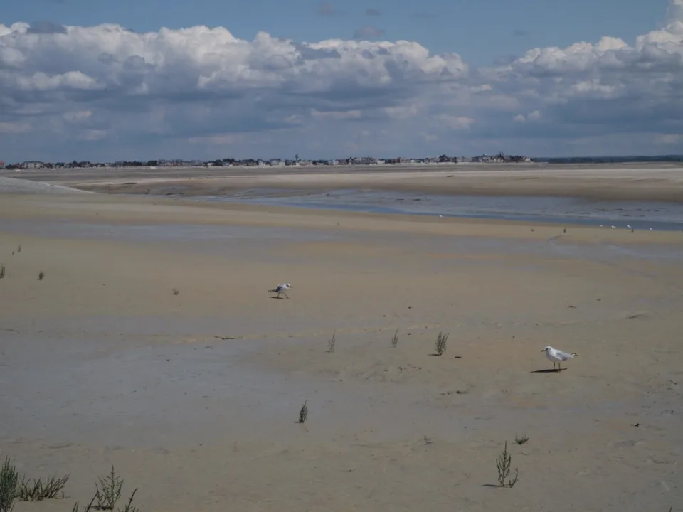 baie de somme