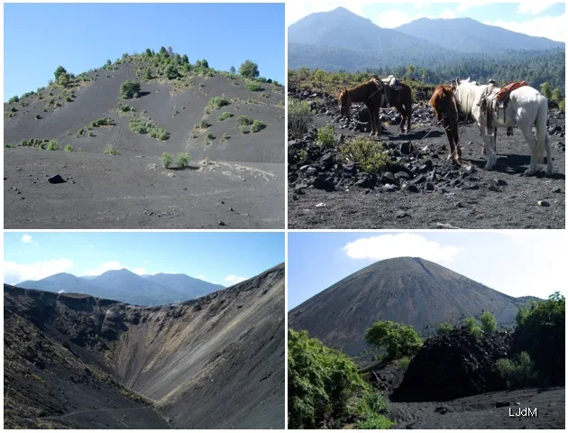 Collage de chevaux et paysages volcaniques au Mexique