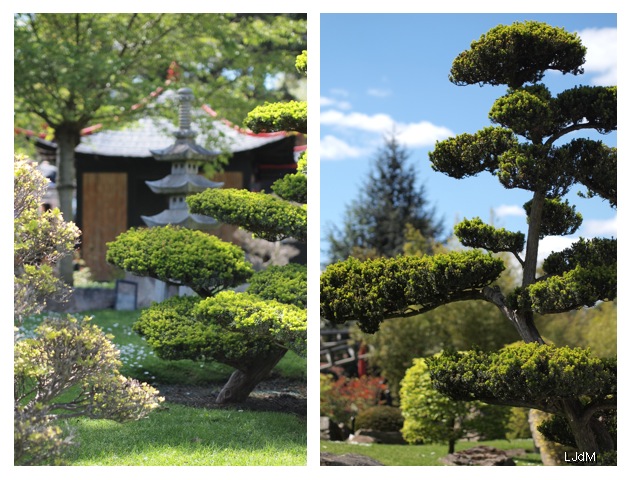 jardin