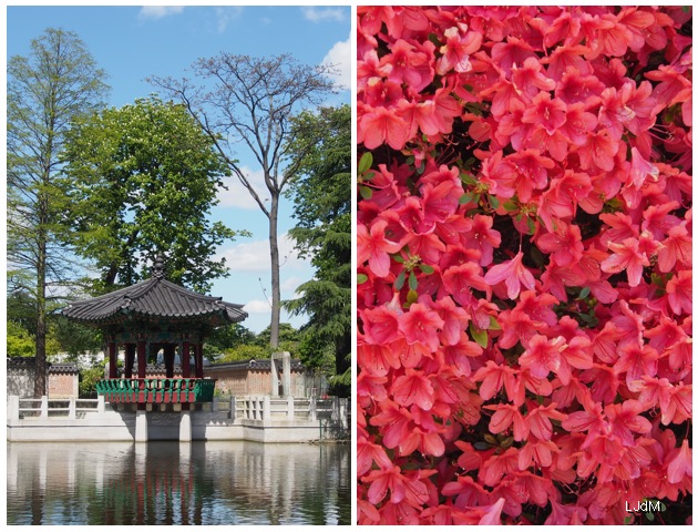 jardin_coreen