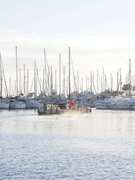 Cannes et son soleil hivernal