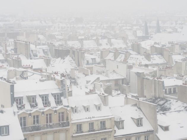 A Paris sous la neige l'important c'est la rose !