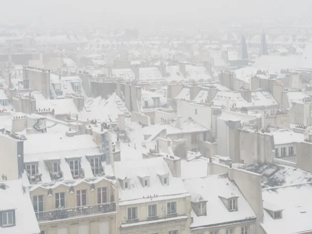 A Paris sous la neige l'important c'est la rose !