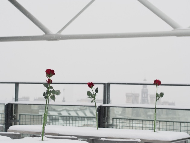 A Paris sous la neige l'important c'est la rose !