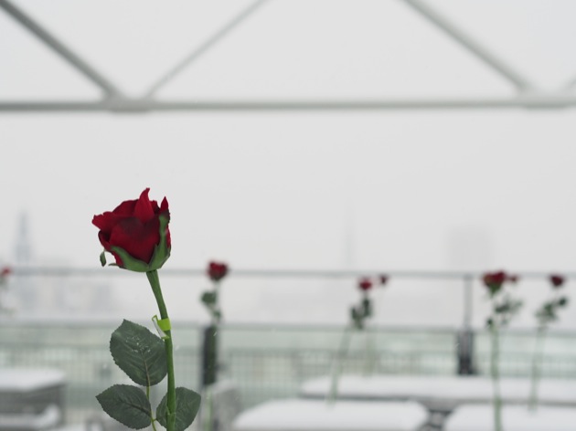 A Paris sous la neige l'important c'est la rose !