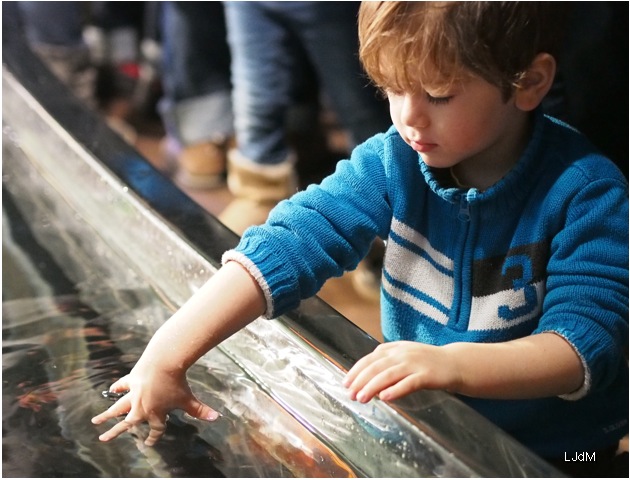 bassin_aquarium