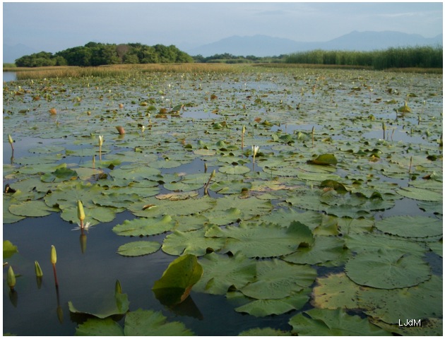 guatemala_river