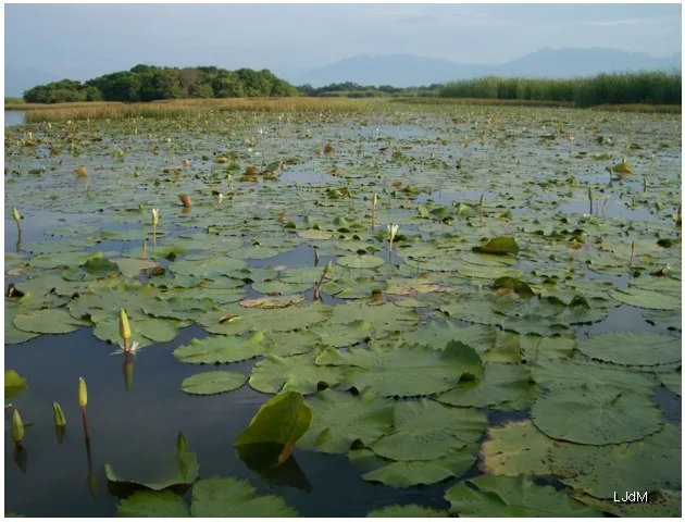 guatemala_river