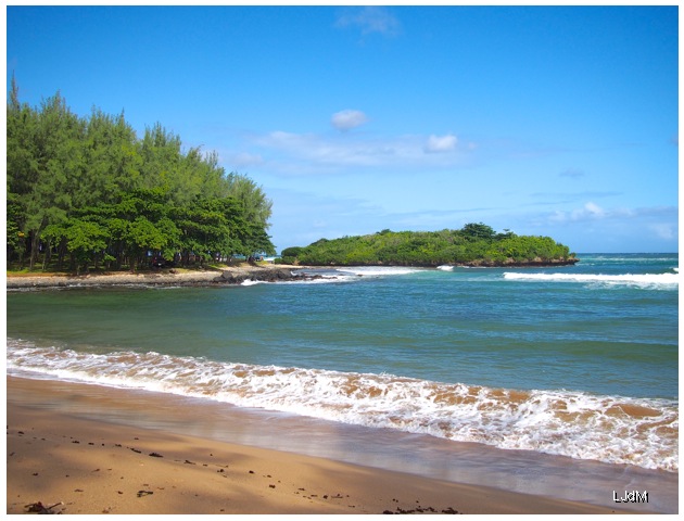 Souvenirs de l’île Maurice