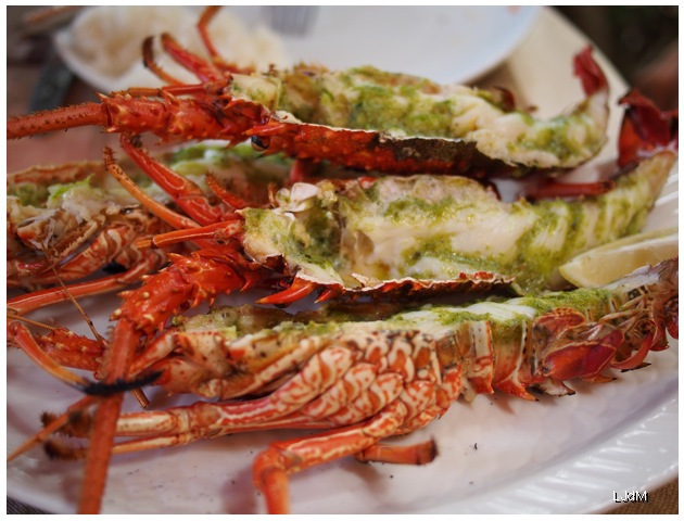 langoustines