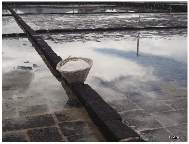 salines