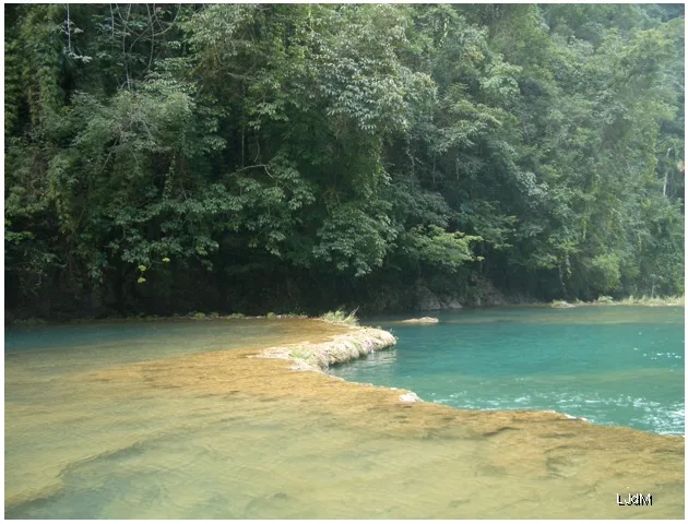 semuc_champey_jungle