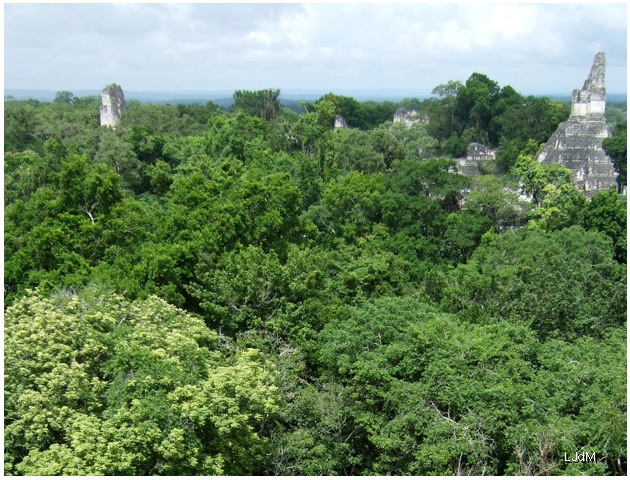 site_maya