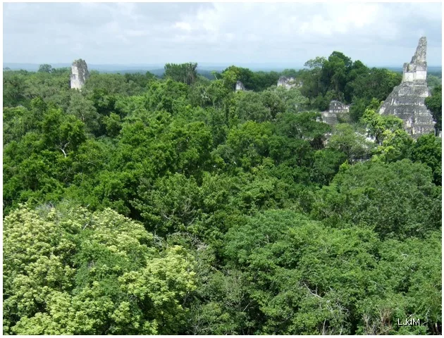 site_maya