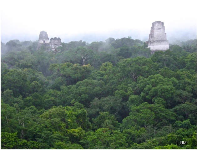 Tikal