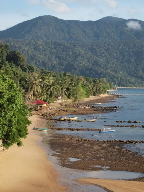 Littoral tropical et montagnes boisées sur l’île Tioman
