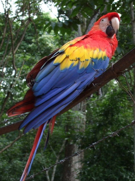 DSCF1765