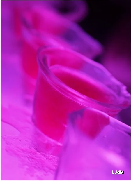 Gros plan abstrait sur un glaçon éclairé en rose
