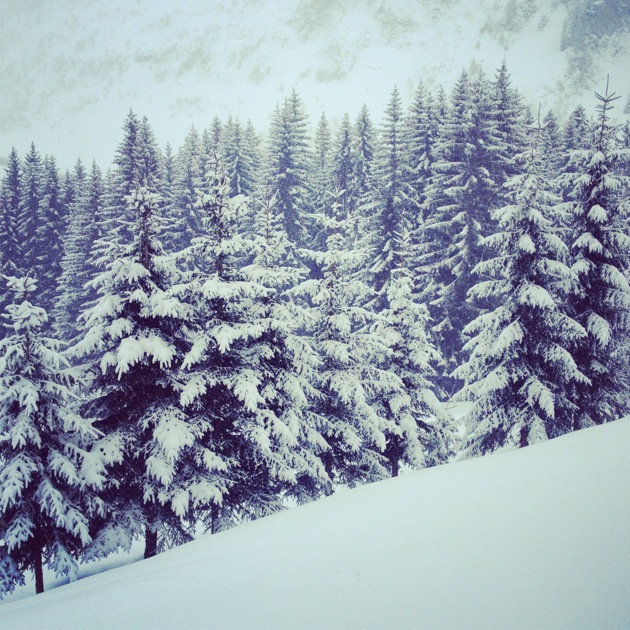 A quel âge débuter le ski ?