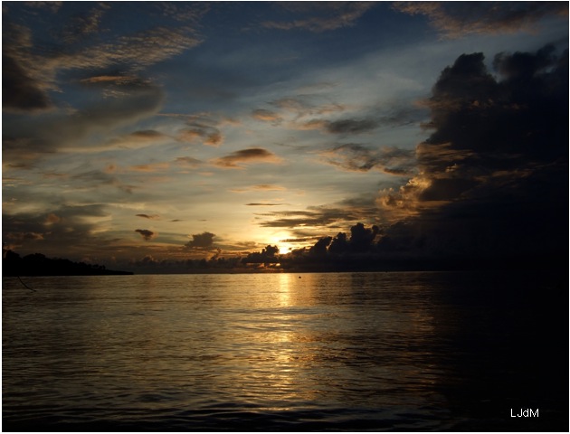 night_roatan