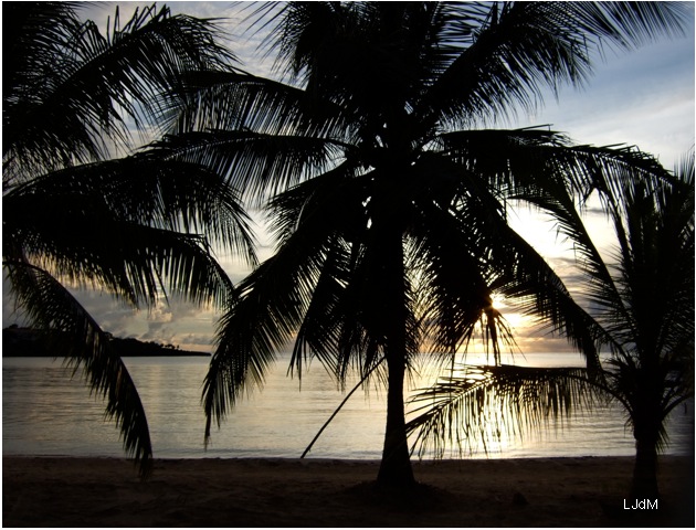 Voyage au Honduras et découverte de la plongée à Roatan