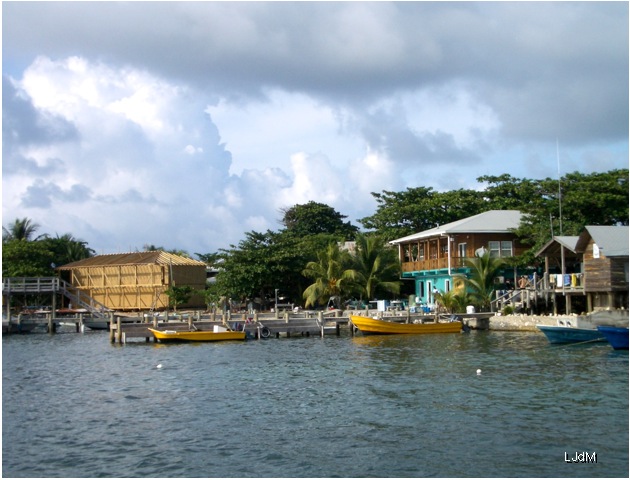 Roatan_dive
