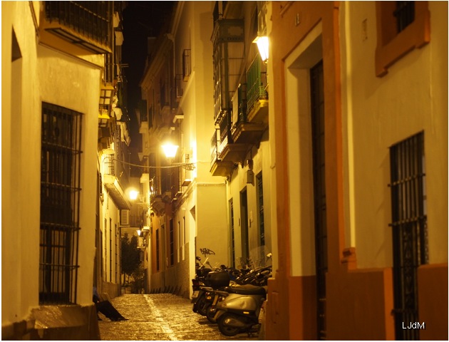 santa_cruz_by night