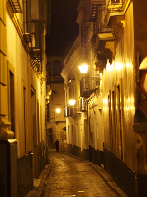 santa_cruz_nuit