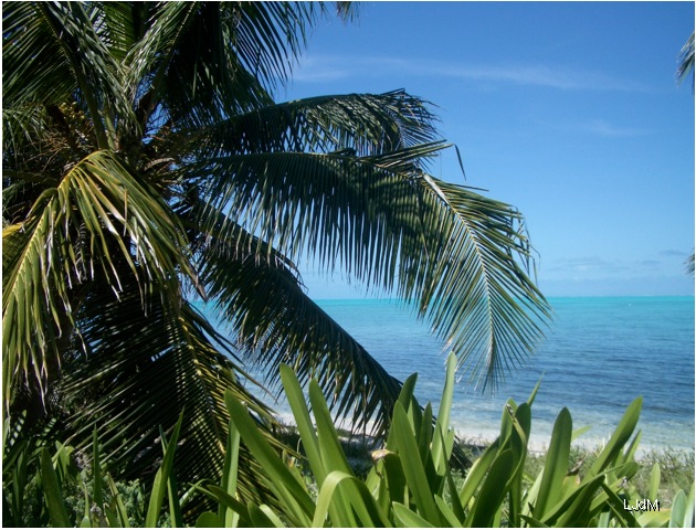 caraibes
