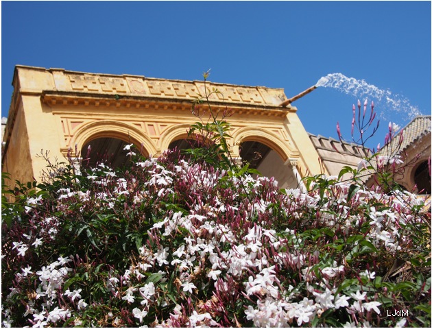 fontaine_alcazar