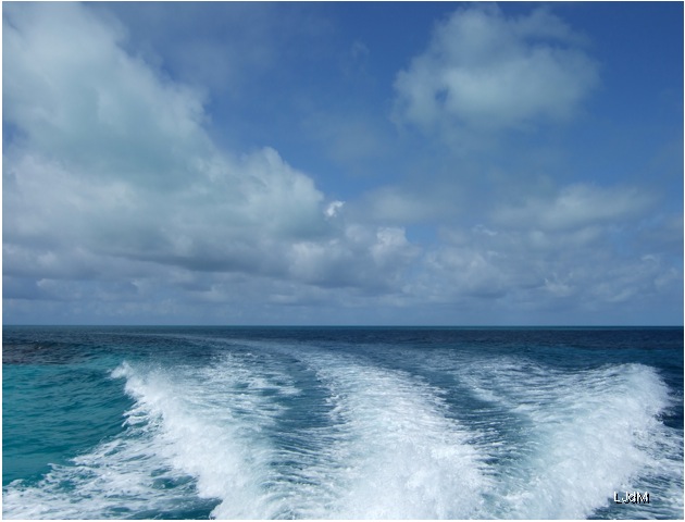 ocean