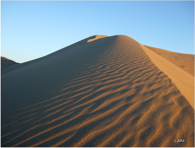 desert_chinois
