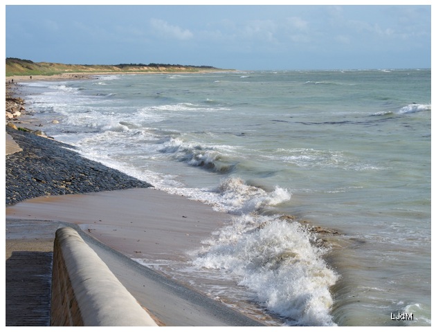 iledere
