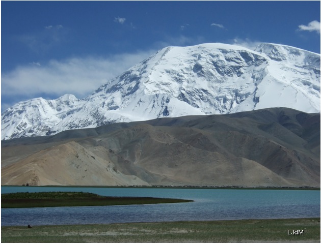 karakul