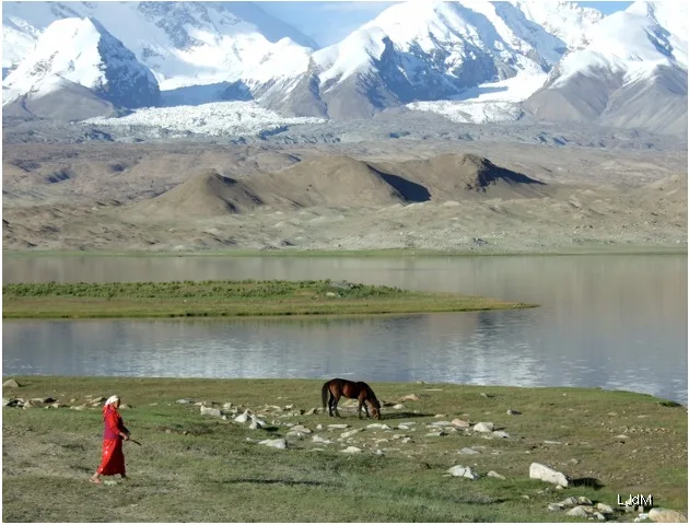 karakul3