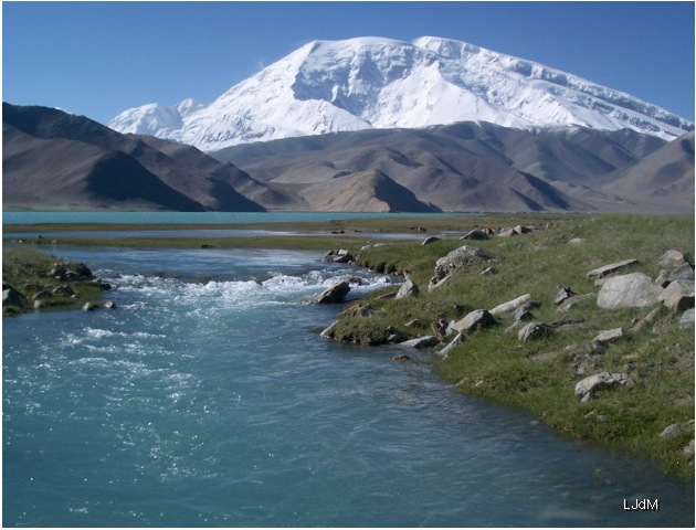 karakul4