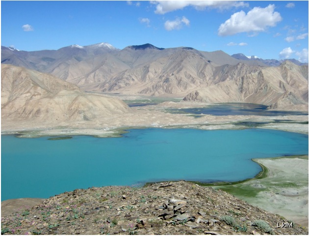 karakul_bis