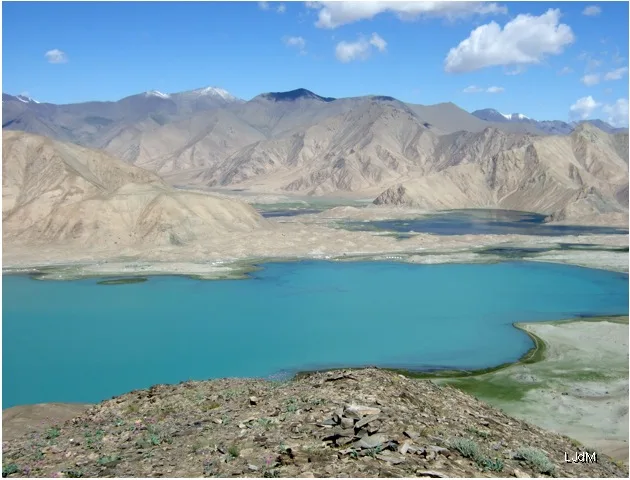 karakul_bis