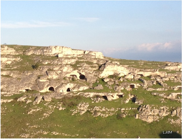 troglodytes