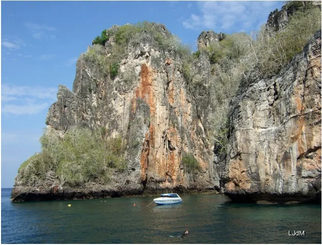 Koh_Phi_Phi_plongee