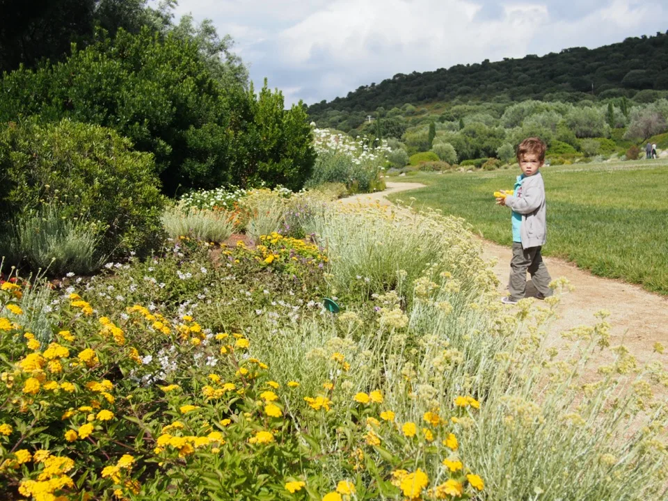 semaine en Corse en famille